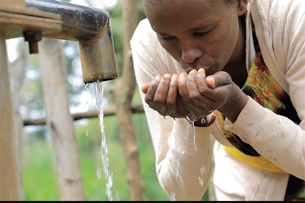 Transparency & Accountability